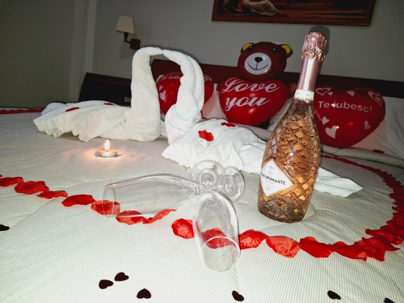Hotel Vila Veneto Тимишоара Екстериор снимка